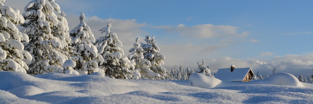 winter4