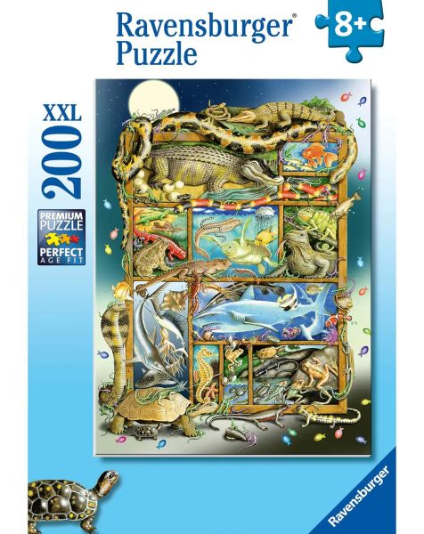 Spiel 6060.0