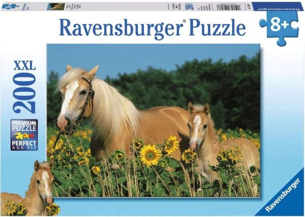 Spiel 6155.0